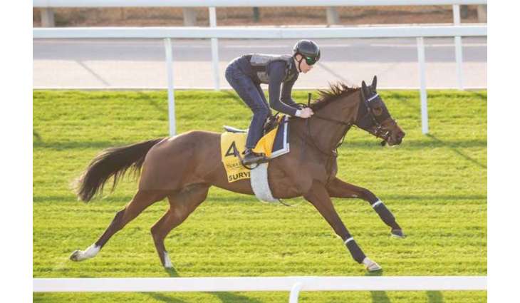 Survie to take on world’s elite in Dubai Longines Sheema Classic