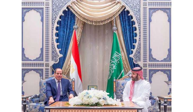 Saudi Crown Prince, Egyptian President discuss regional developments