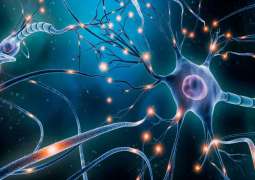 NYU Abu Dhabi, University of Denver researchers develop technology for brain disorder treatment