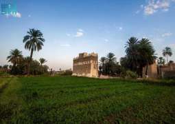 النخيل المُعمَّر بنجران إرث شامخ يروي حكاية الأرض والإنسان