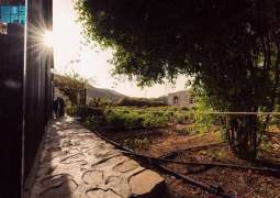 Saudi Reef Transforms Taif Rose Farm into a Model Rural Tourism Destination