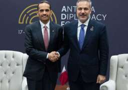 Qatari, Turkish foreign ministers discuss regional developments, de-escalation efforts