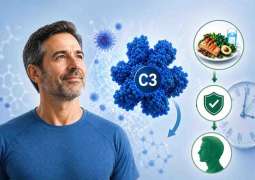Regulating immune protein C3 may slow ageing
