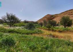 متنزه الغاط الوطني.. طبيعة آسرة وملاذ هادئ للزوار طوال الأسبوع