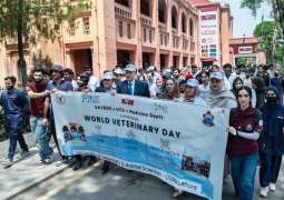 UVAS observes World Veterinary Day