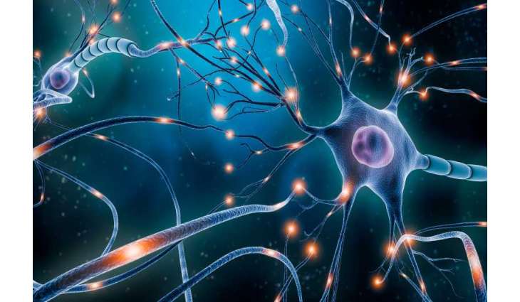 NYU Abu Dhabi, University of Denver researchers develop technology for brain disorder treatment