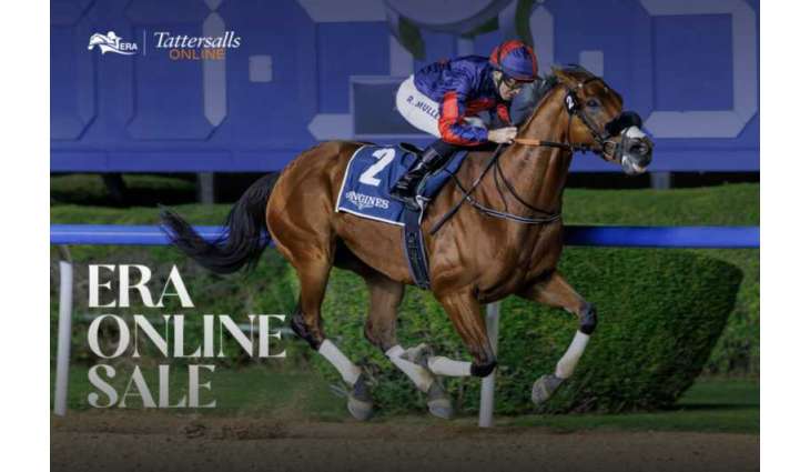 Record participation for Tattersalls Online Emirates Racing Authority sale