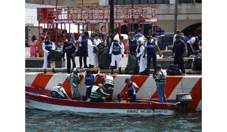 جمع 889 طنا من الملوثات بعد تسرب نفطي في خليج المكسيك