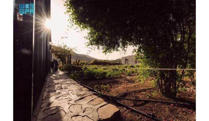 Saudi Reef Transforms Taif Rose Farm into a Model Rural Tourism Destination