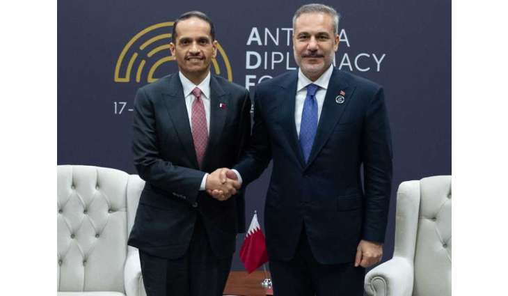 Qatari, Turkish foreign ministers discuss regional developments, de-escalation efforts