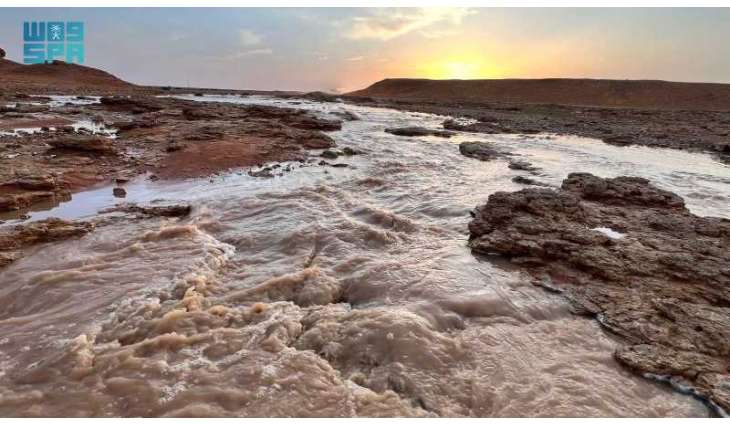 سيول الأمطار تُنعش شعاب جنوب رفحاء وتُحفّز ازدهار الغطاء النباتي
