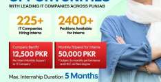 Punjab Govt Launches CM IT Internship Program; 2,400+ Internship Opportunities, PKR 50,000 Stipend