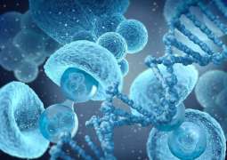 Australian scientists develop new stem cell technology for blood diseases, cancer