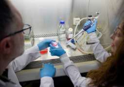 New NYU Abu Dhabi study reveals how DNA organisation in cells drives obesity, metabolic health