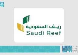 Saudi Reef Announces 50% Completion of Rayyis Fish Auction and Boat Maintenance Center