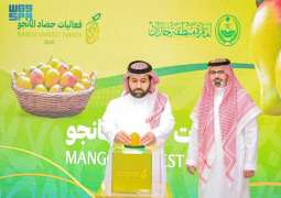 أمير منطقة جازان يُطلق فعاليات حصاد المانجو 2026 بواجهة صبيا دعمًا للمزارعين وتعزيزًا للاقتصاد الزراعي