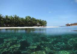 Five Italians die in Maldives diving incident
