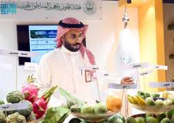 هيئة تطوير وتعمير المناطق الجبلية بجازان تستعرض مبادراتها في فعاليات المانجو 2026 بصبيا
