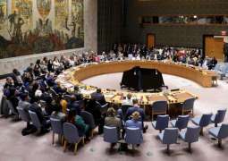 UN Security Council condemns terrorist attacks in Mali