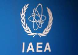 IAEA praises UAE cooperation, warns attack on Barakah plant threatens nuclear safety