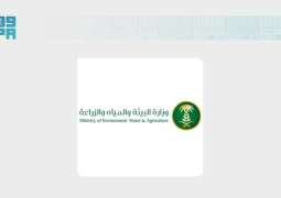 Vice Minister of Environment: Saudi Arabia Produces Over 7,700 Tons of Honey Annually to Enhance Food Security