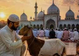 Religious freedom in danger in India as UP CM bans cows, calves, camels sacrifice ahead of Eidul Azha