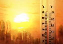 Global temperatures to reach near-record highs in next five years, report finds