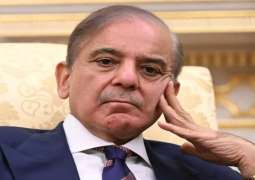 رئیس الوزراء شھباز شریف یوٴکد التزام باکستان بتعزیز السلام في المنطقة