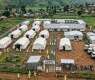 Ebola death toll rises to 160 in Congo