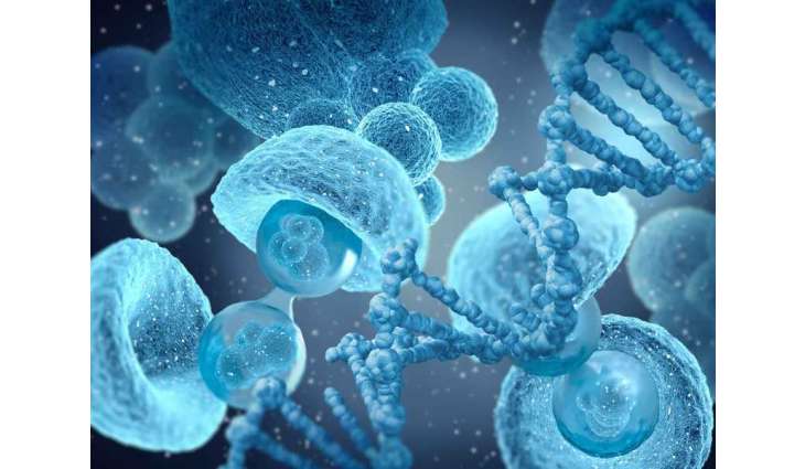 Australian scientists develop new stem cell technology for blood diseases, cancer