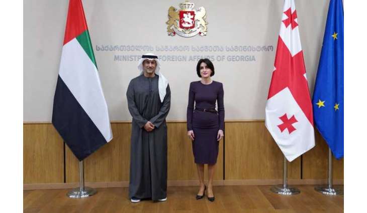 Saeed Al Hajeri meets with Deputy Prime Minister, Minister of Foreign Affairs of Georgia