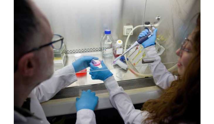 New NYU Abu Dhabi study reveals how DNA organisation in cells drives obesity, metabolic health