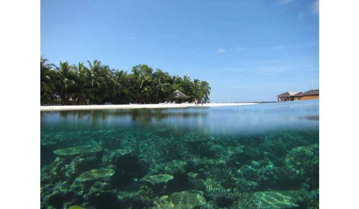Five Italians die in Maldives diving incident