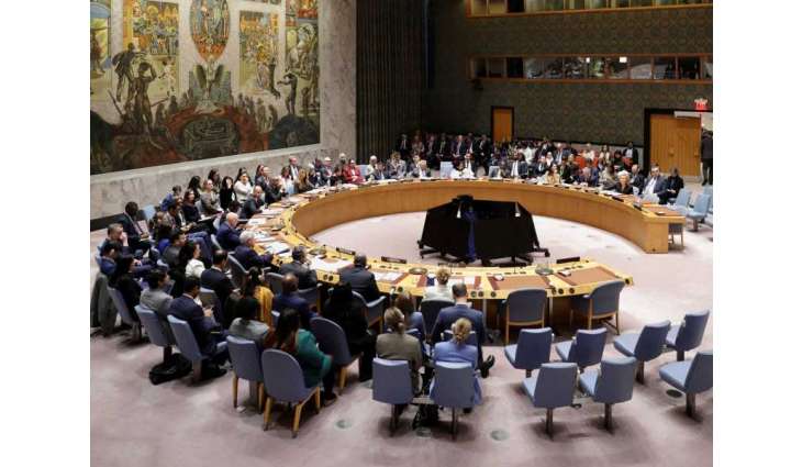 UN Security Council condemns terrorist attacks in Mali