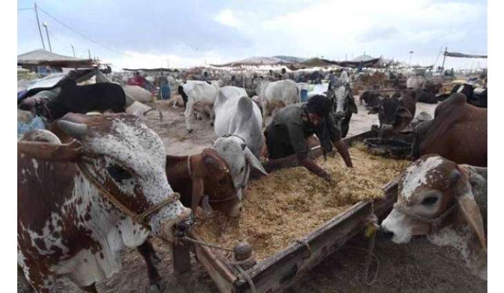 Govt announces three-day Eidul Azha holidays in Pakistan