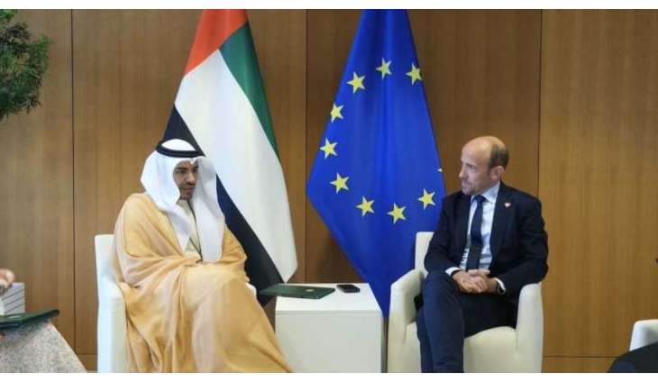 FNC, European Parliament discuss boosting bilateral cooperation