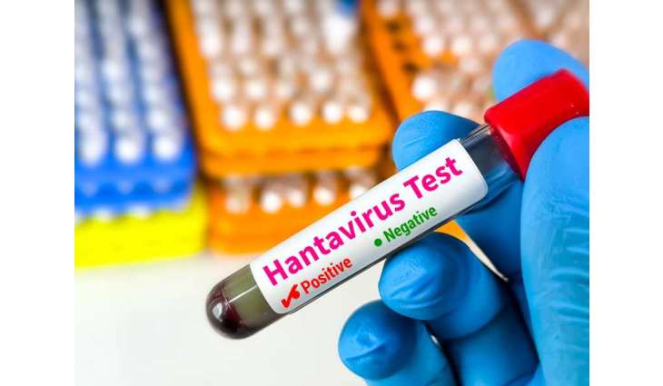 Spanish government confirms new case of Hantavirus