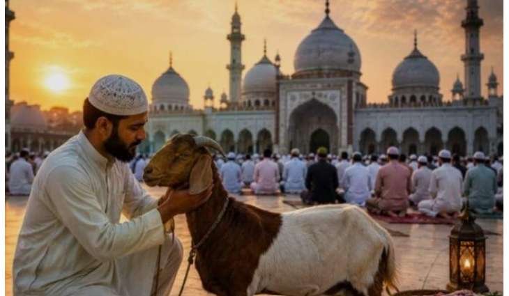 Religious Freedom In Danger In India As UP CM Bans Cows, Calves, Camels Sacrifice Ahead Of Eidul Azha