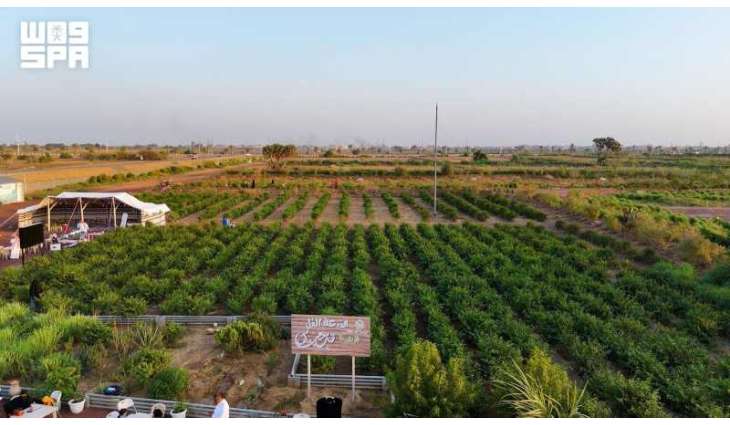 المزارع الريفية في جازان تستقطب الزوار خلال إجازة عيد الأضحى