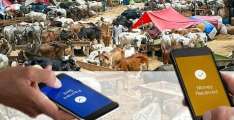 SBP reports Rs34 billion digital transactions on Eid-ul-Adha
