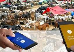 SBP reports Rs34 billion digital transactions on Eid-ul-Adha