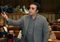 PPP-Government budget differences persist