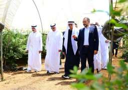 Elite Agro Holding opens seventh farm in Moroccan, investments exceed AED500 million