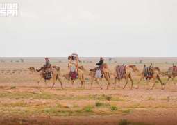 Camel Training: A Heritage Skill Passed Down by Bedouin Communities