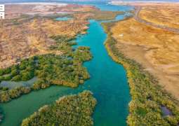 Jazan’s Mountain, Mangrove, Valley Forests Enrich Ecotourism Landscape