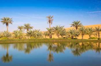 اليوم العالمي للبيئة 2026 / أبوظبي تقود صياغة الحلول البيئية عبر الابتكار العلمي