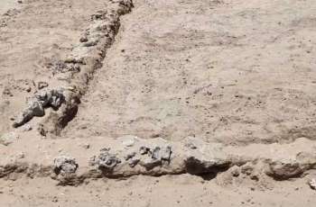 الكشف عن مجموعة من صهاريج المياه والمنشآت الخدمية بميناء عيذاب الأثري بمصر