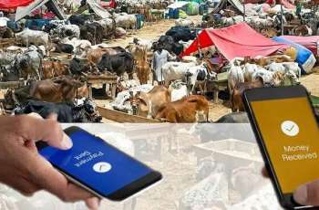 SBP reports Rs34 billion digital transactions on Eid-ul-Adha