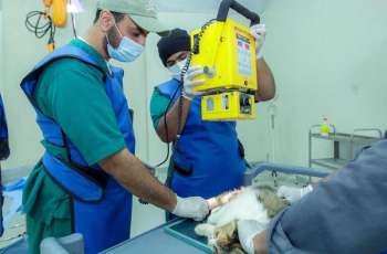 المستشفى البيطري الجامعي بجامعة القصيم.. بيئة تعليمية متقدمة وخدمات متخصصة تدعم التنمية الوطنية