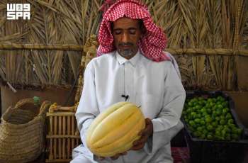 Hasawi Watermelon Boosts Al-Ahsa’s Summer Market Season
